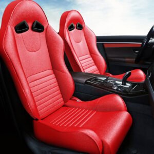 Sports Car Seat RSS-5